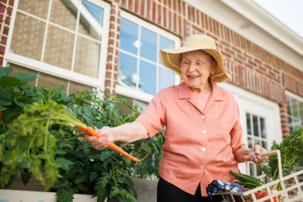 Resident picking carrots from the garden